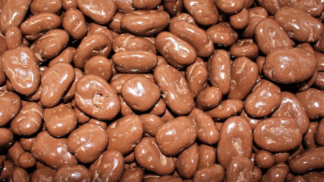 Chocolate Covered Pecans