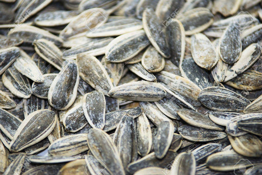 Roasted and Salted Sunflower seeds