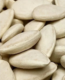 Pumpkin Seeds